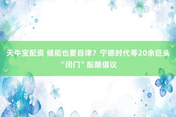 天牛宝配资 储能也要自律？宁德时代等20余巨头“闭门”酝酿倡议
