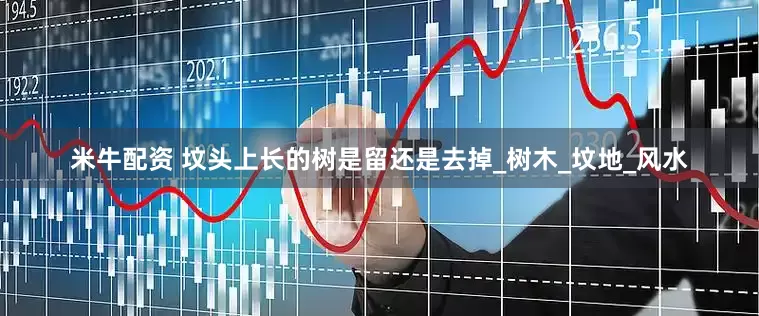 米牛配资 坟头上长的树是留还是去掉_树木_坟地_风水