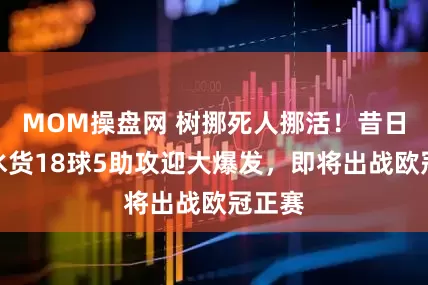 MOM操盘网 树挪死人挪活！昔日国安水货18球5助攻迎大爆发，即将出战欧冠正赛