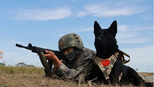 牛股远期策略 中俄蒙三国联合亮剑, 绝不会让北溪被炸事件, 在中国身上重演